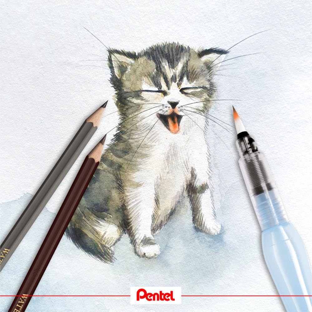 pentel-tui-12-crayons-de-couleur-hexagonaux-couleurs-assorties image 5
