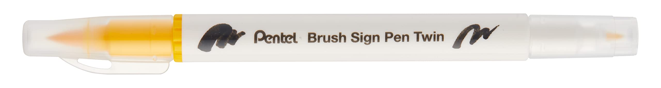 pentel-arts-brush-sign-pen-twin-sesw30c-bois-brut-lot-de-10-feutres-pinceau-bi-p image 5