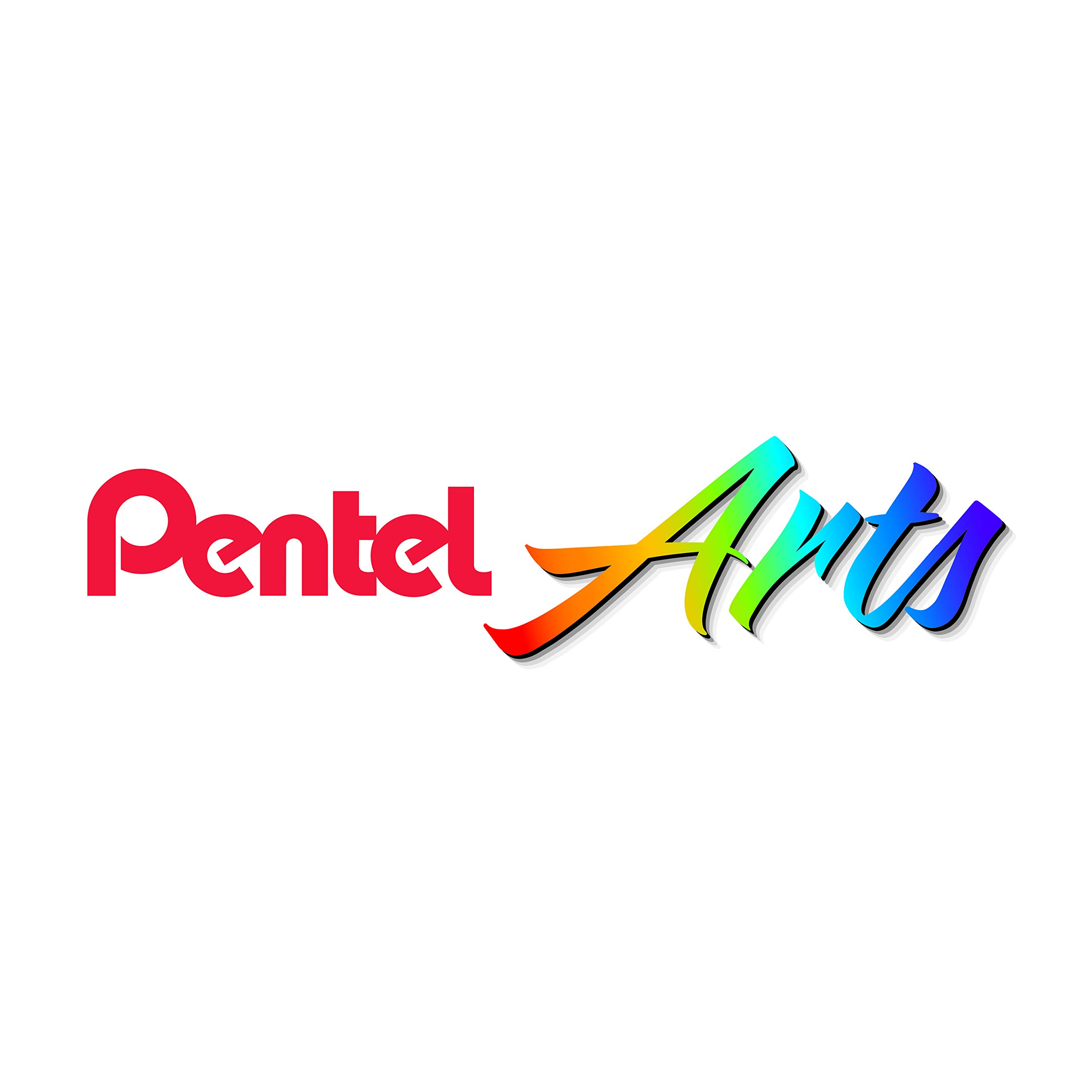 pentel-pts-15-bo-te-de-15-pastels-l-huile-pour-tissus image 6